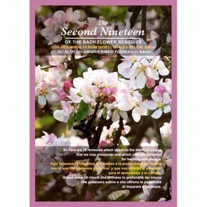 The Second Nineteen of the Bach Flower Remedies DVD