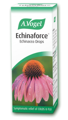 Echinacea drops 