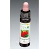 Pomegranate bottle 10ml