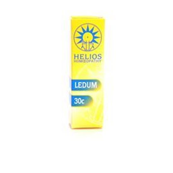 Ledum